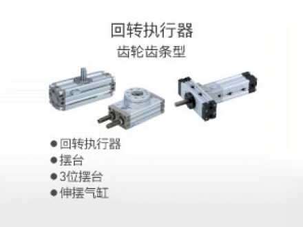 回轉(zhuǎn)執(zhí)行器 齒輪齒條型